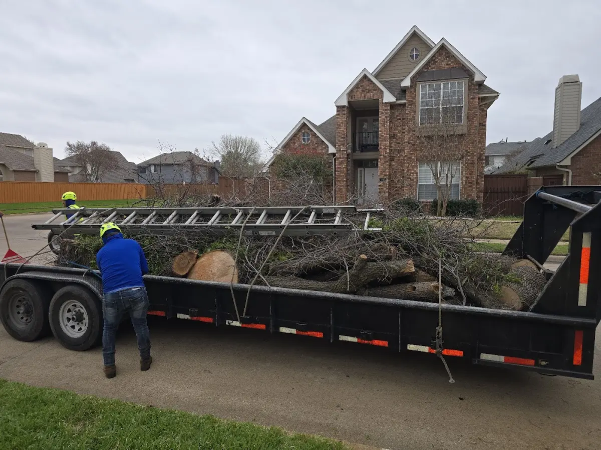 Expert Tree Removal with proper safety equipment in Mc Lean